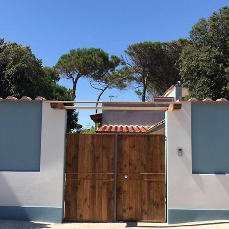 Viareggina Con Giardino Leilighet Marina Di Pisa Eksteriør bilde