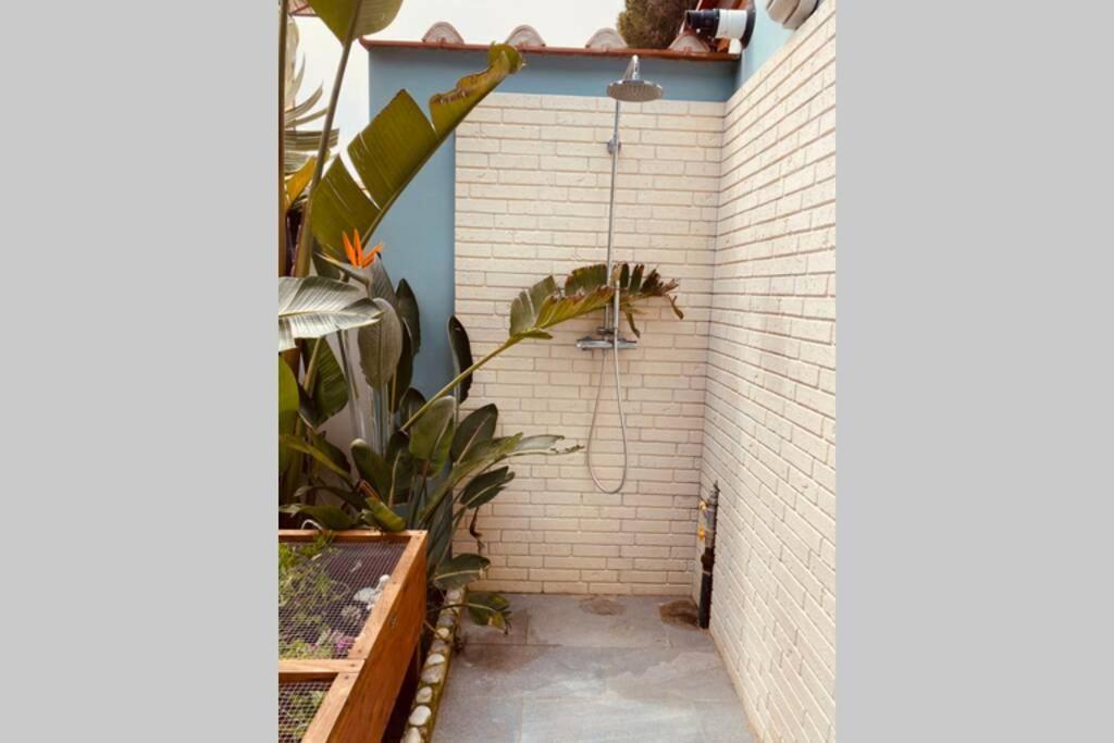 Viareggina Con Giardino Leilighet Marina Di Pisa Eksteriør bilde
