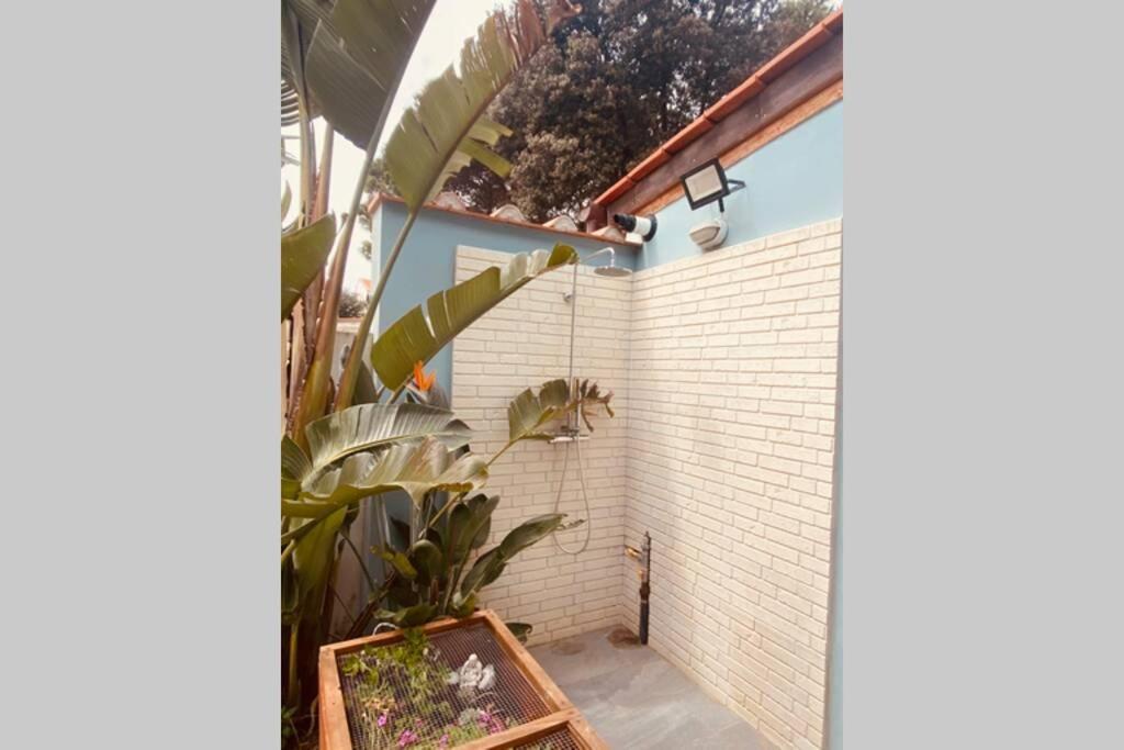 Viareggina Con Giardino Leilighet Marina Di Pisa Eksteriør bilde