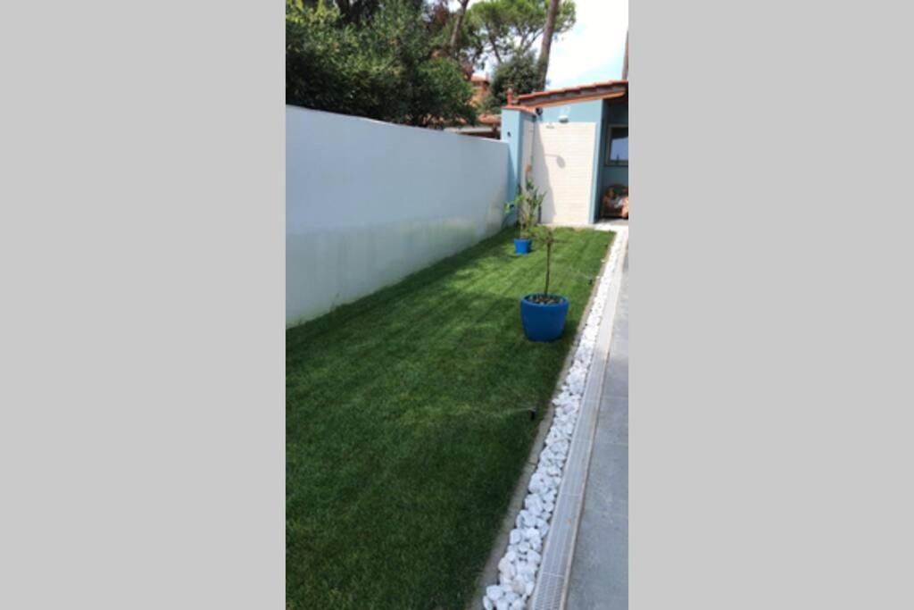 Viareggina Con Giardino Leilighet Marina Di Pisa Eksteriør bilde